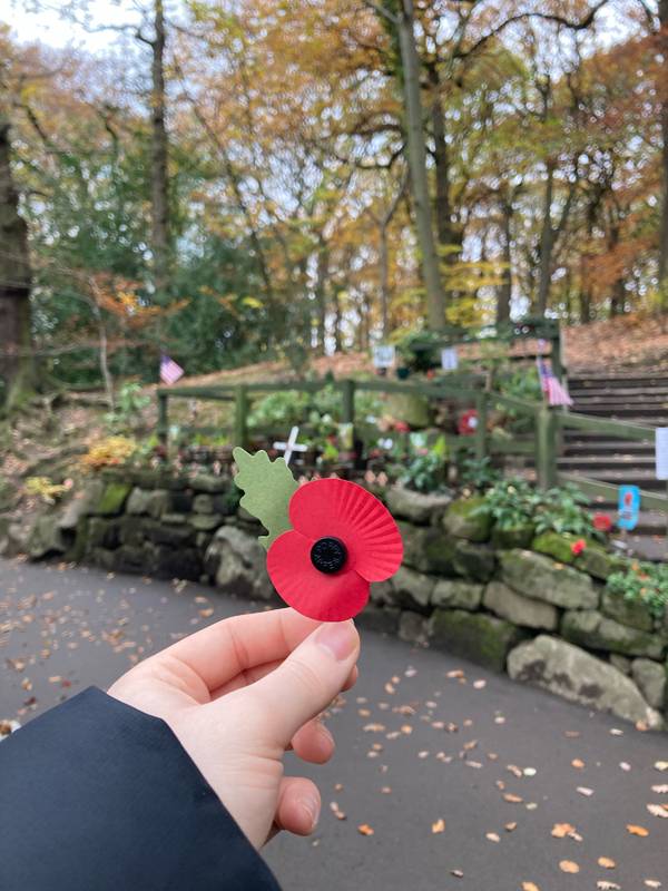 Image of hand holding a poppy